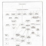 pulpo_standard